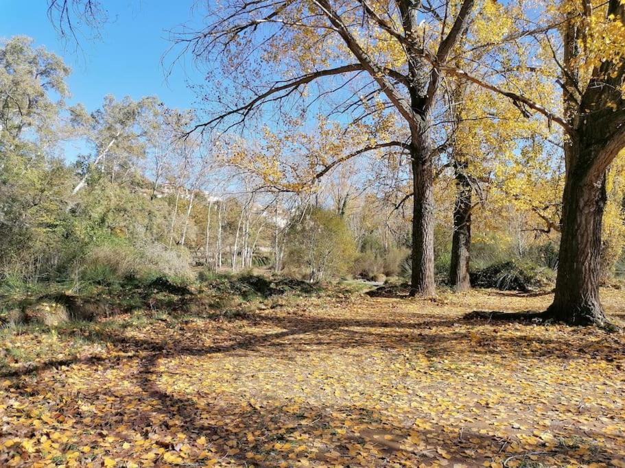 La Casirria Villa Olba Luaran gambar